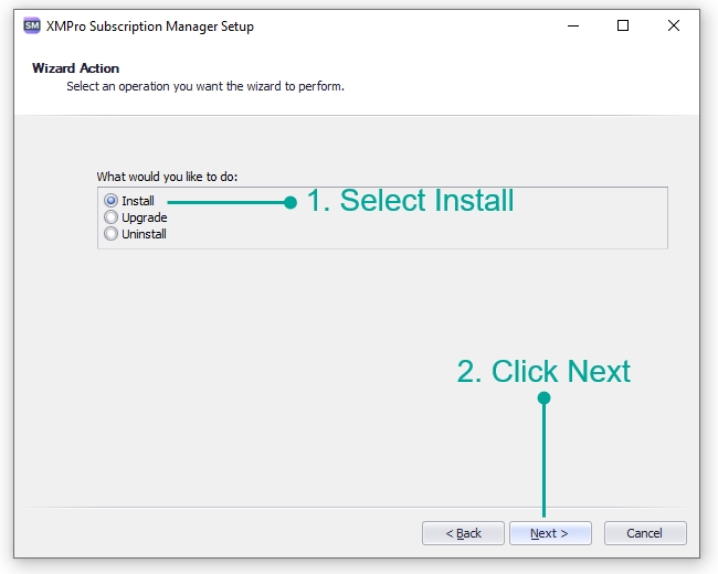 Choose Install