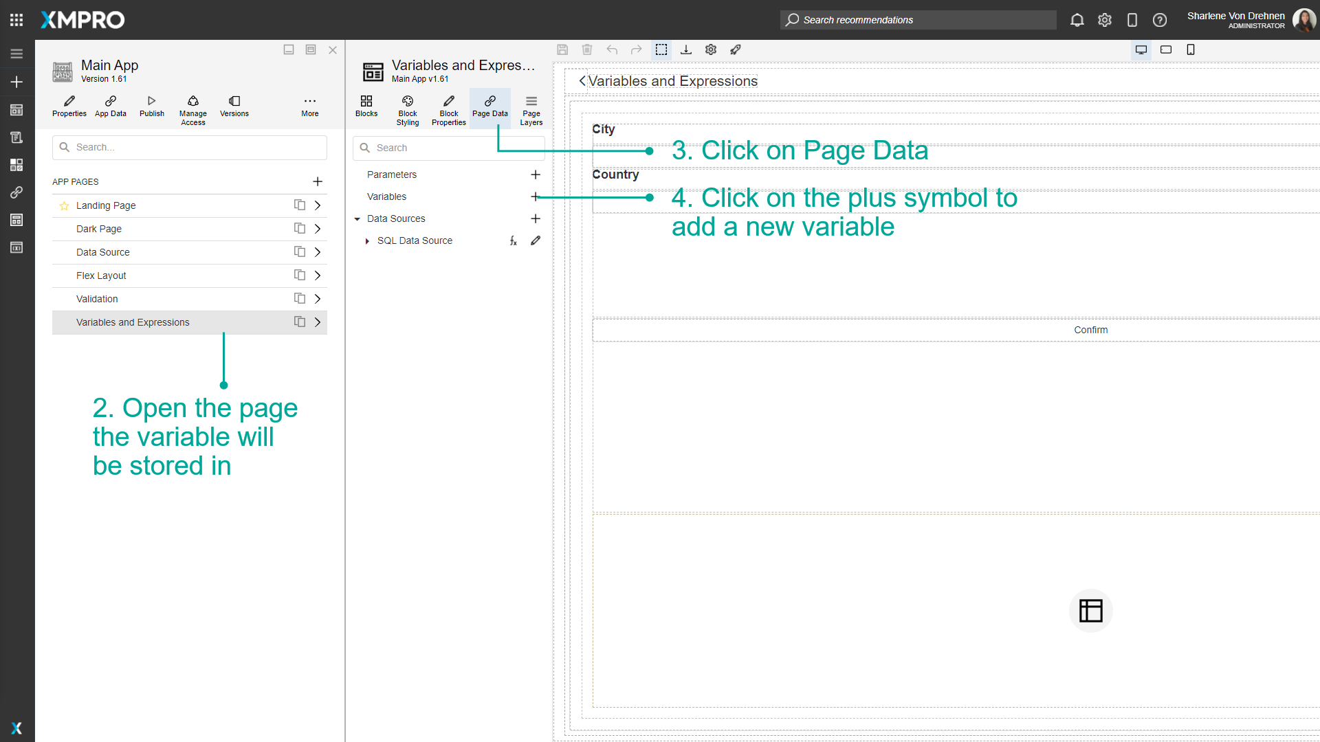 Screenshot showing the Page Data tab with the plus button highlighted to add a new variable