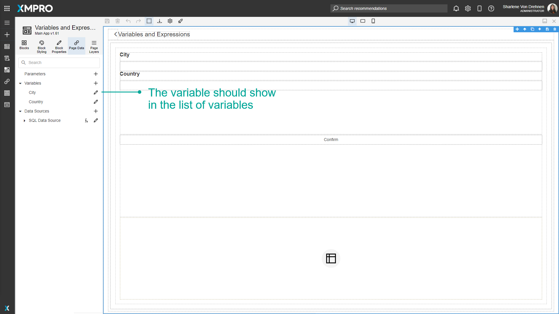 Screenshot showing a list of variables in the Page Data panel