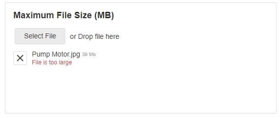 Max File Size