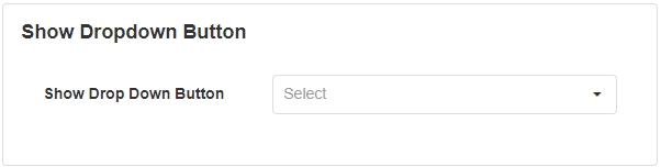 Show Dropdown Button