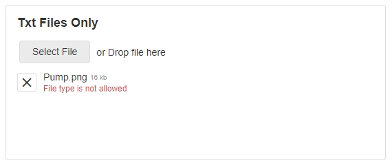 Allowed File Extensions