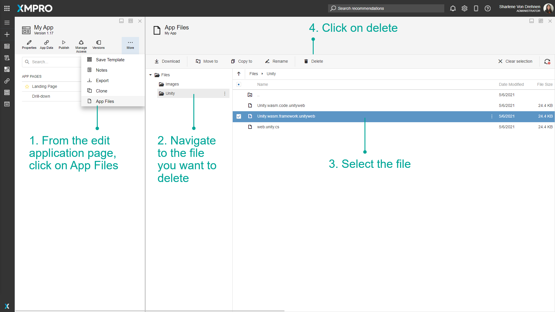 App Files interface showing a selected file with the delete button highlighted in the toolbar