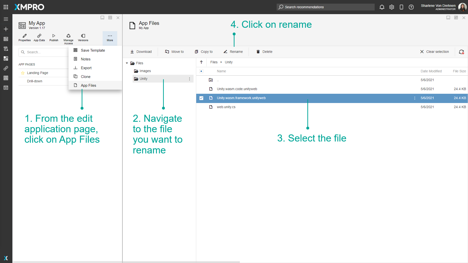 App Files interface with a file selected and the rename button highlighted in the toolbar