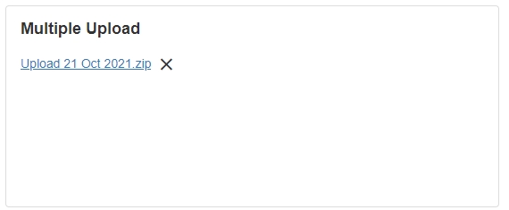 Multiple Upload